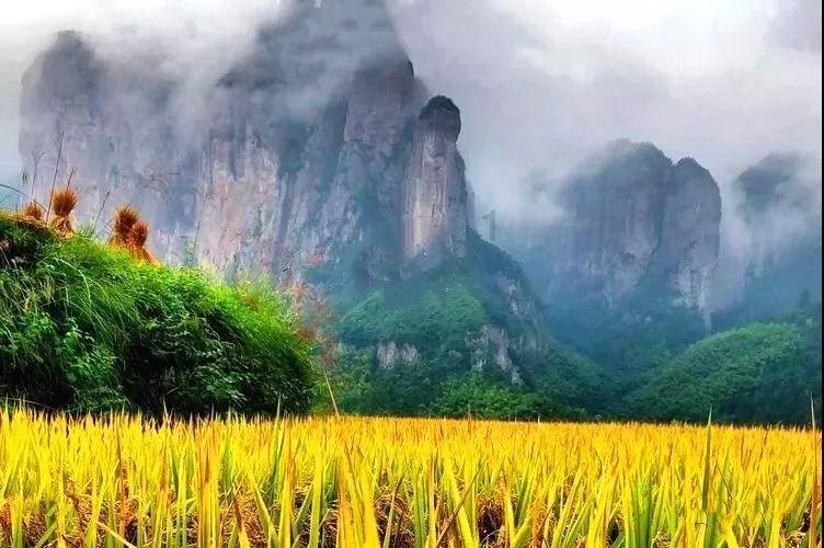 计算​EnSM：冠醚功能化COF助Li-S电池