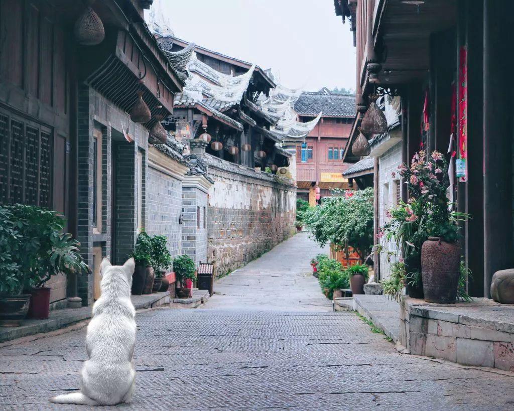 “一沙一麻”产学研融合,践行沙产业 | 南京农大教授到访中国绿发会